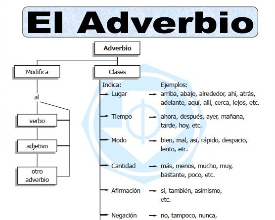 Adverbios De Cantidad En Frances Ejercicios